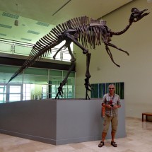 Dinosaur Velafrons Coahuilensis in the museum Museo de Paleontologia in Delicias